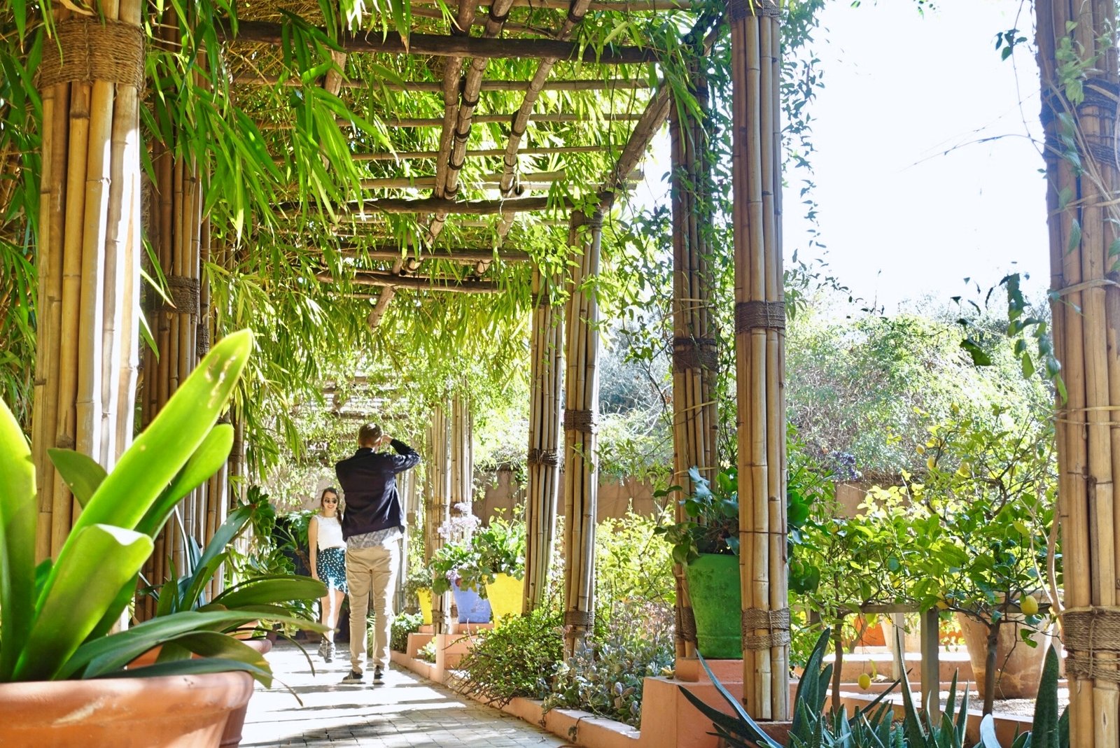 Majorelle Garden